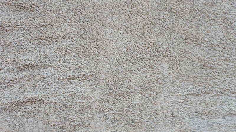 Increase Your Carpet Service Business with an AI Driven, Targeted Website