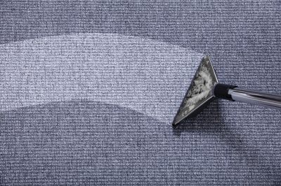 Fresh and Bright Carpets