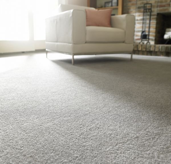 Wool Carpet Installation in Bremerton