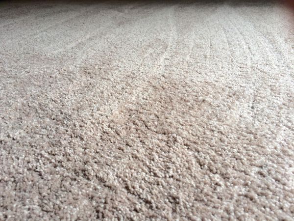 Plush Carpet Installation in Bremerton